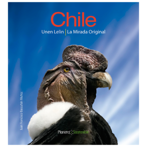 Chile: Unen Lelin, la mirada original