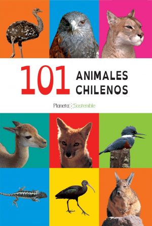 101 animales chilenos